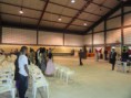 /album/louvorz%c3%a3o%20da%20congrega%c3%a7%c3%a3o%20do%20geisel%20/louvorz%c3%a3o%20%2849%29-jpg/